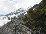glenalpine1076a.jpg