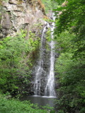 /pix/2011/greenv1019a.jpg
