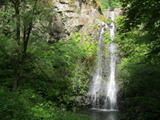 /pix/2011/greenv1021a.jpg