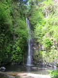 /pix/2011/greenv1023a.jpg