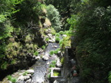 greenv1030a.jpg