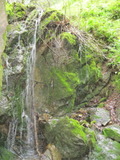 /pix/2011/ignacio536a.jpg