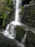 /pix/2011/ignacio542a.jpg