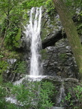 /pix/2011/ignacio543a.jpg