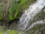/pix/2011/ignacio560a.jpg