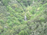 /pix/2011/ignacio565a.jpg