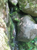 longridge1035a.jpg