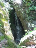 longridge1038a.jpg