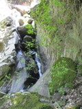 longridge1042a.jpg