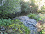 /pix/2011/lucasv165a.jpg
