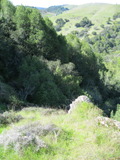 /pix/2011/lucasv167a.jpg