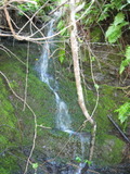 /pix/2011/lucasv168a.jpg