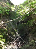 /pix/2011/lucasv180a.jpg