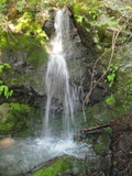 /pix/2011/lucasv181a.jpg