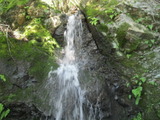 /pix/2011/lucasv183a.jpg