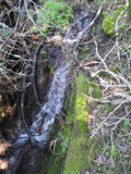 /pix/2011/lucasv184a.jpg