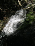 /pix/2011/lucasv191a.jpg