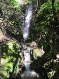 /pix/2011/lucasv193a.jpg