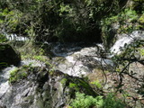 /pix/2011/lucasv196a.jpg
