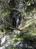 /pix/2011/lucasv197a.jpg