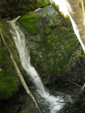 /pix/2011/lucasv199a.jpg