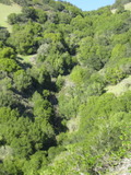 /pix/2011/lucasv214a.jpg