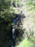 /pix/2011/lucasv215a.jpg