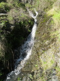 /pix/2011/lucasv222a.jpg