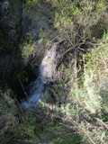 /pix/2011/lucasv223a.jpg