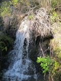 /pix/2011/lucasv224a.jpg