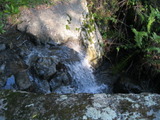 /pix/2011/lucasv225a.jpg