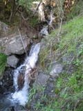 /pix/2011/lucasv228a.jpg