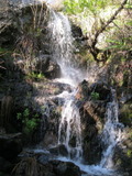 /pix/2011/lucasv229a.jpg