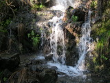 /pix/2011/lucasv230a.jpg
