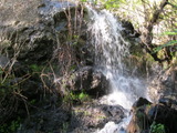 /pix/2011/lucasv231a.jpg