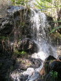 /pix/2011/lucasv232a.jpg