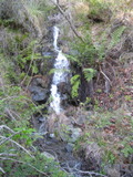 /pix/2011/lucasv235a.jpg
