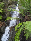 /pix/2011/lucasv236a.jpg