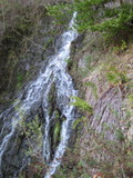 /pix/2011/lucasv240a.jpg