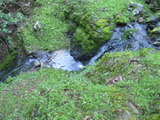 /pix/2011/lucasv352a.jpg