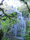 /pix/2011/lucasv355a.jpg