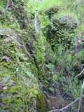 /pix/2011/lucasv359a.jpg