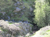 /pix/2011/lucasv363a.jpg