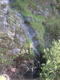 /pix/2011/lucasv364a.jpg