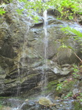 /pix/2011/lucasv365a.jpg