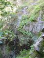 /pix/2011/lucasv366a.jpg