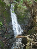 /pix/2011/lucasv370a.jpg