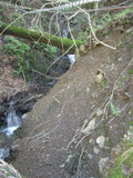 /pix/2011/lucasv371a.jpg