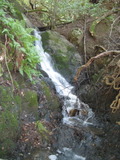 /pix/2011/lucasv373a.jpg