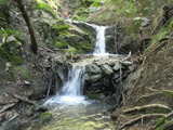 /pix/2011/lucasv377a.jpg